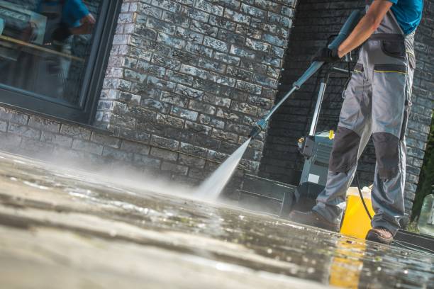 Best Gutter Cleaning  in Roessleville, NY