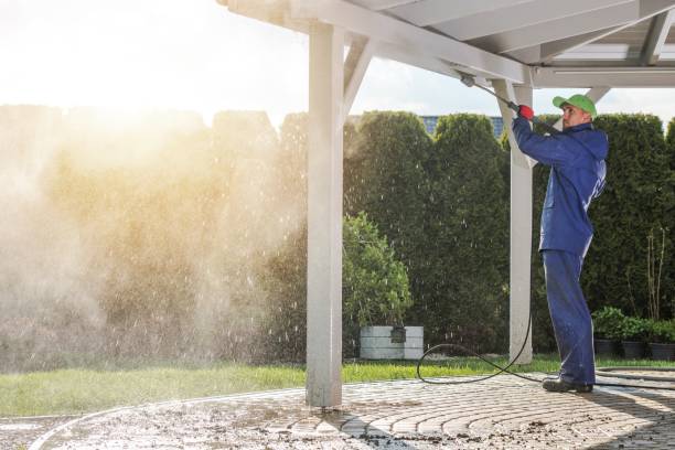 Best Fence Cleaning  in Roessleville, NY