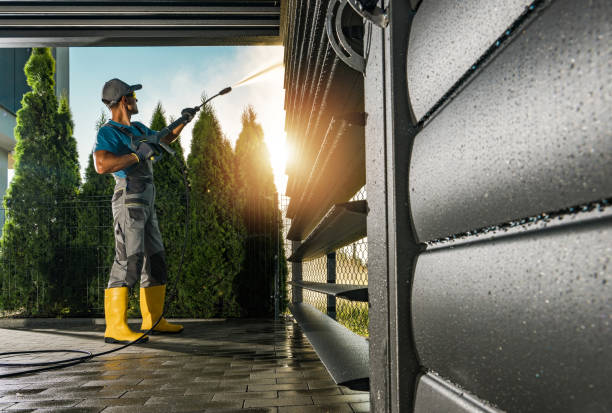 Best Building Exterior Washing  in Roessleville, NY