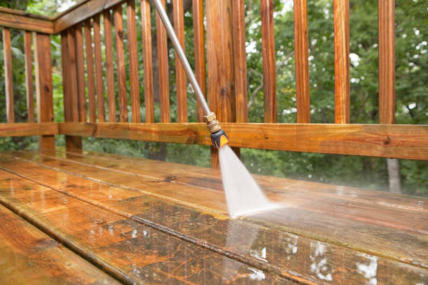 Best Dumpster Area Cleaning  in Roessleville, NY